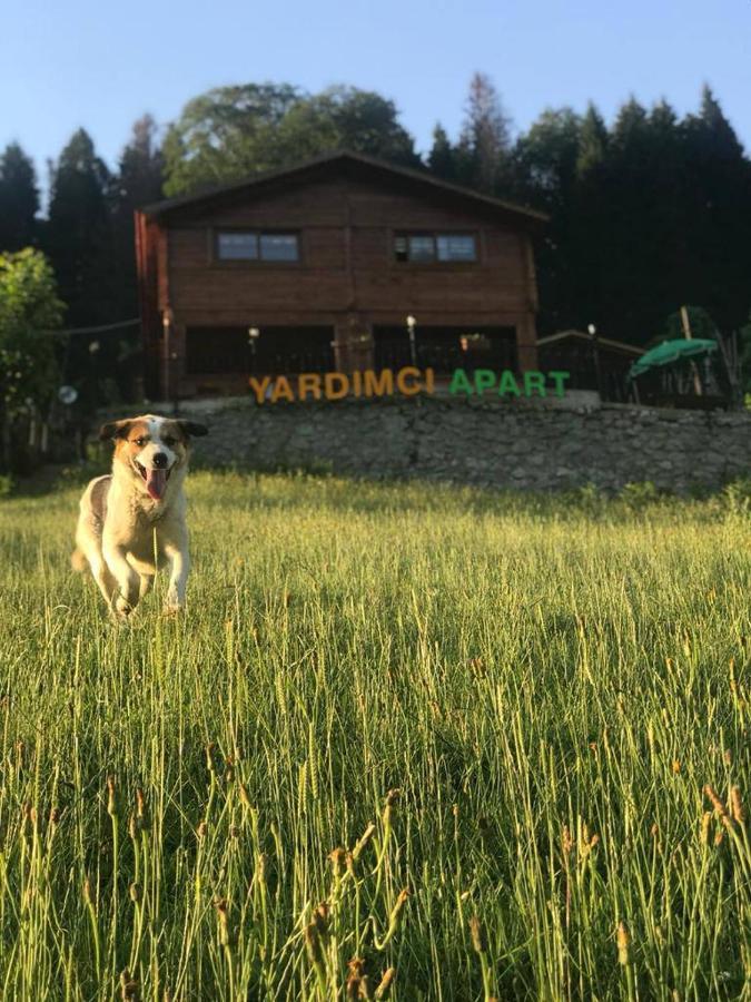 Ayder Yardimci Apart Zewnętrze zdjęcie
