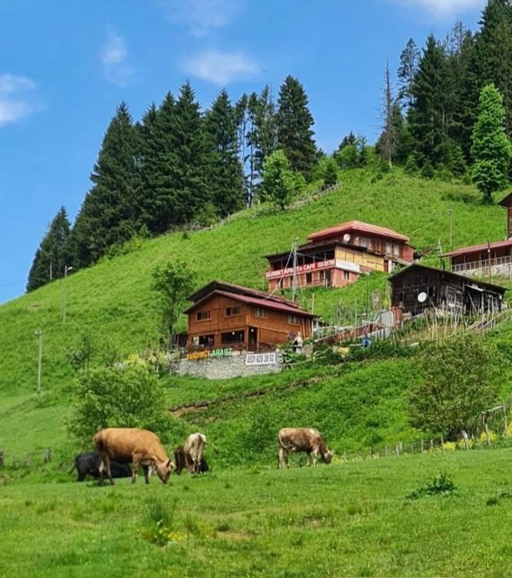 Ayder Yardimci Apart Zewnętrze zdjęcie