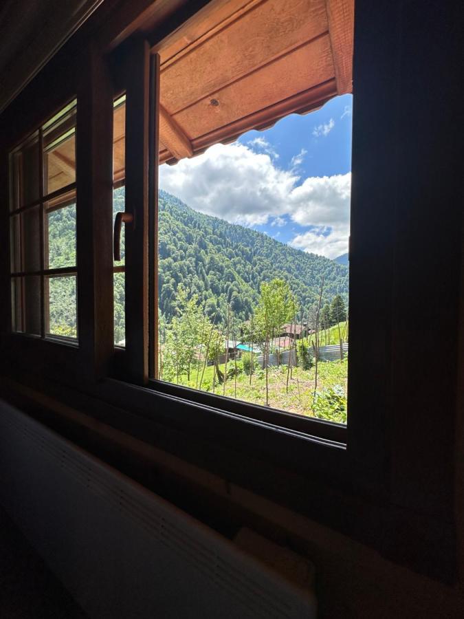 Ayder Yardimci Apart Zewnętrze zdjęcie