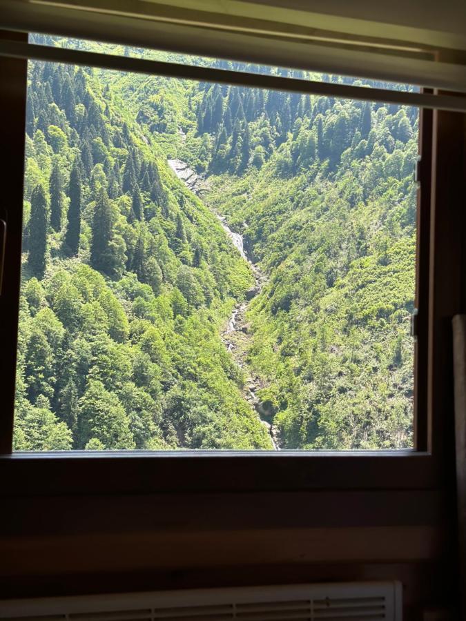 Ayder Yardimci Apart Zewnętrze zdjęcie