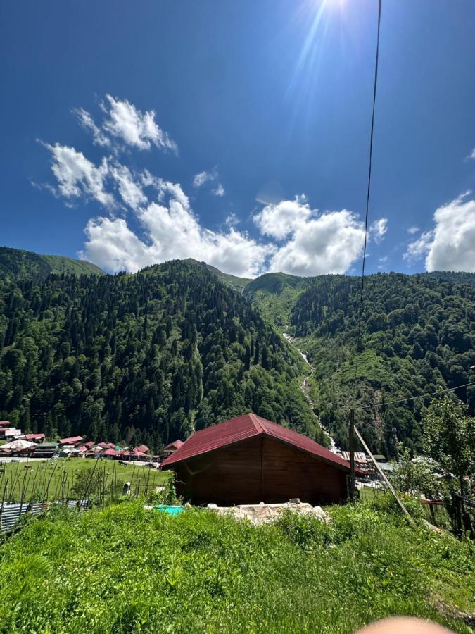 Ayder Yardimci Apart Zewnętrze zdjęcie